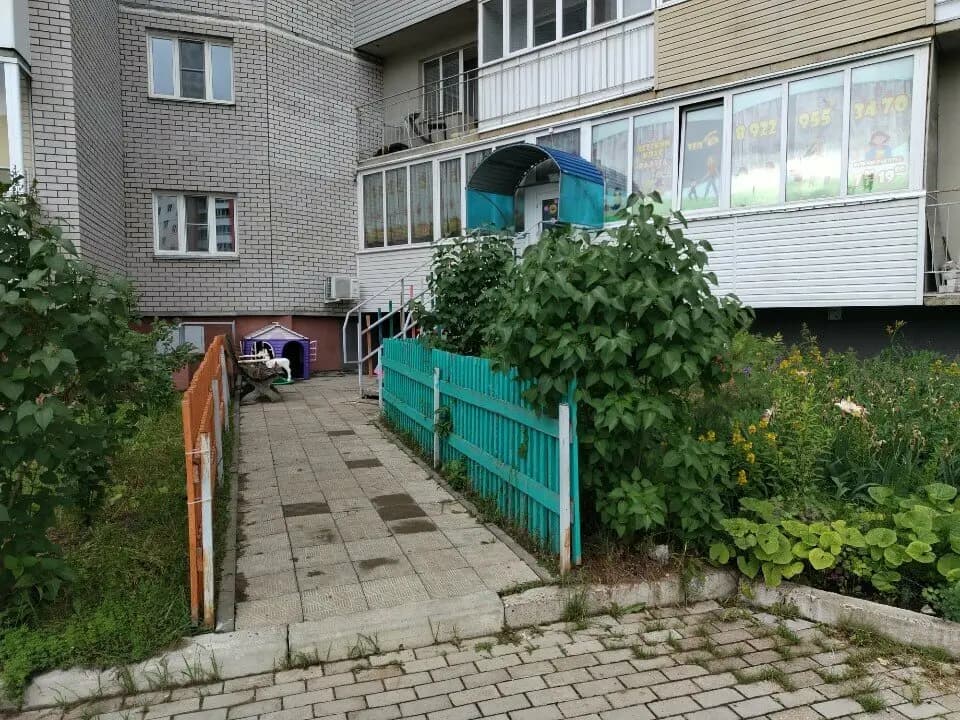 Радуга — фото 10