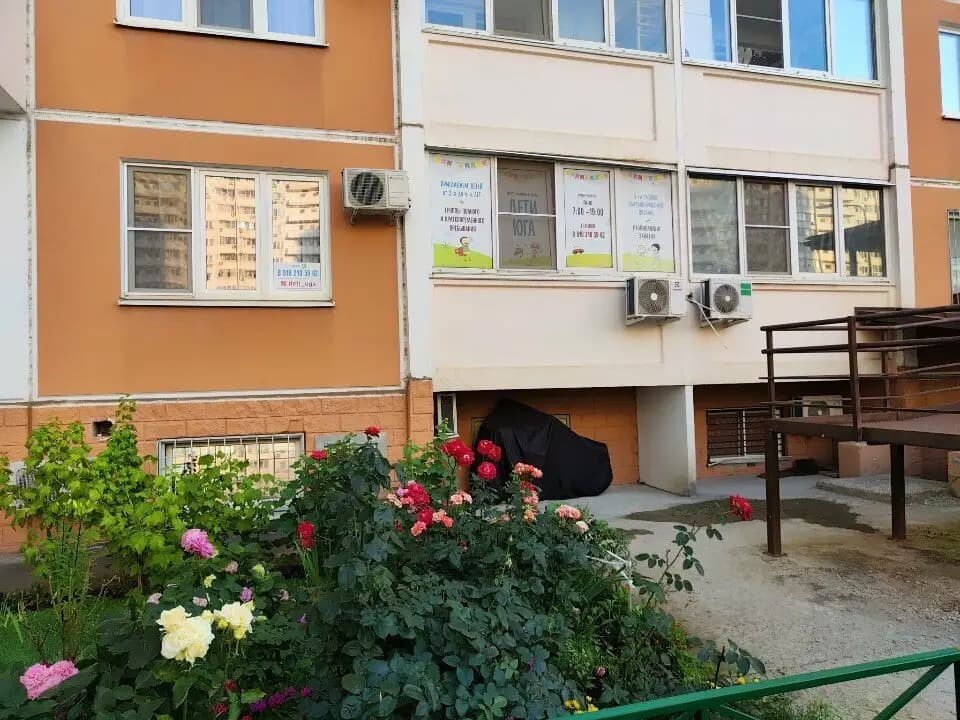 Дети юга — фото 1