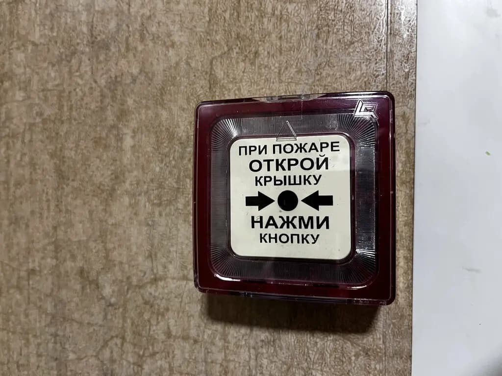 Воробушки — фото 10