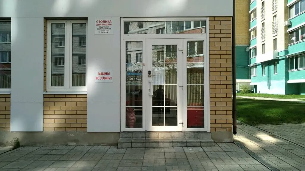 Стрекоза — фото 9