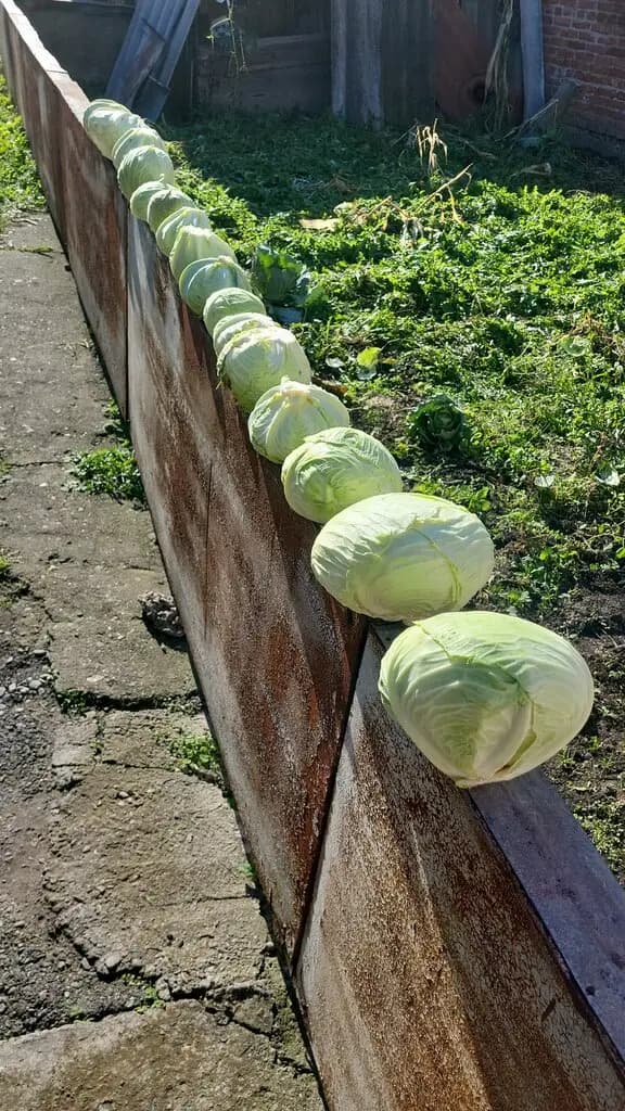 Абвгдейка — фото 10