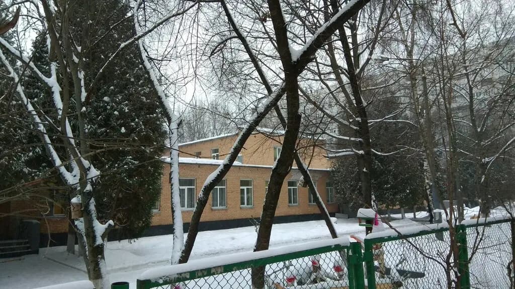 Образовательный комплекс Перспектива, дошкольное отделение Солнышко — фото 4