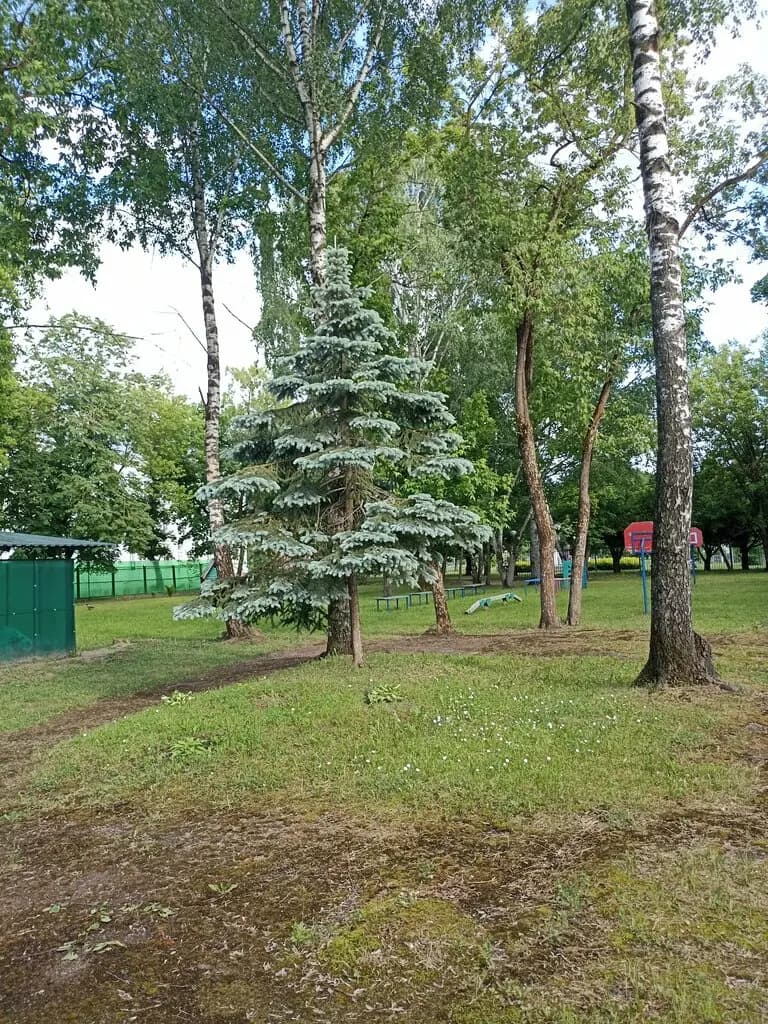 Образовательный центр № 8 Радуга, корпус № 5 — фото 8