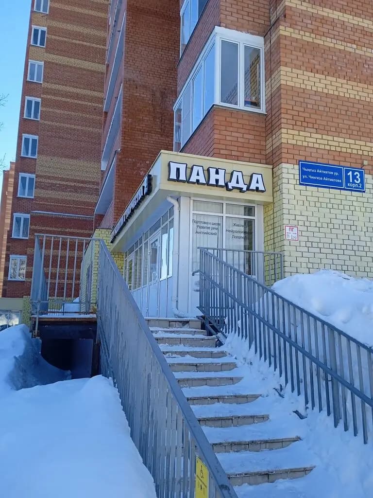 Панда — фото 4