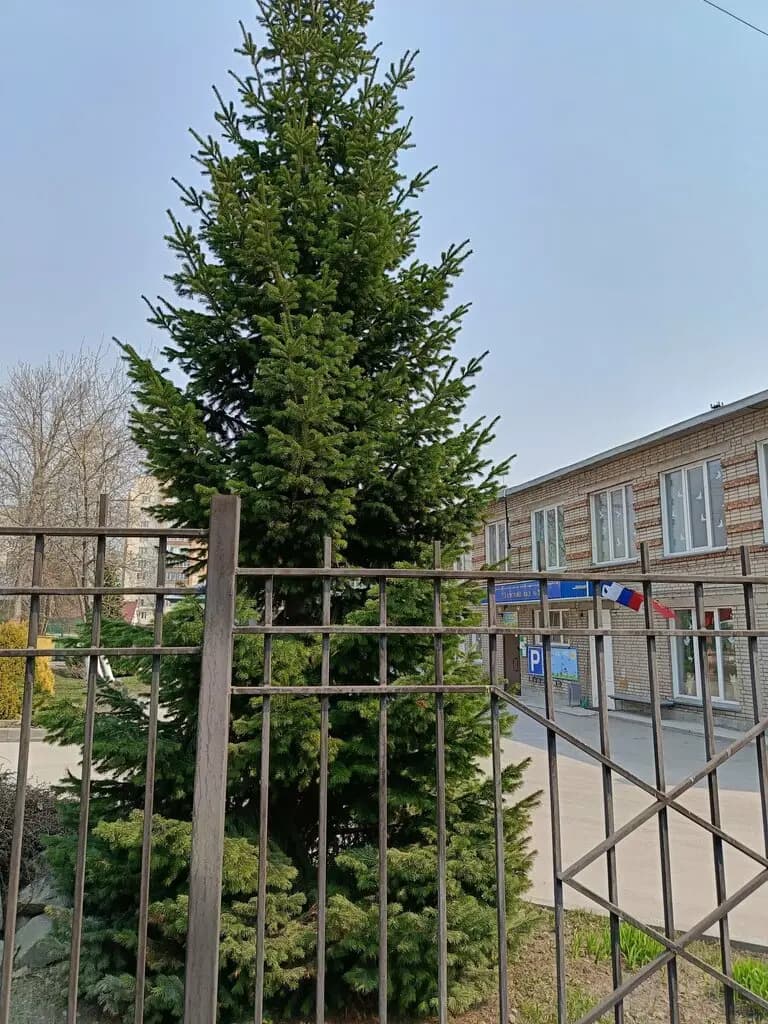 Детский сад № 286 Полянка — фото 4