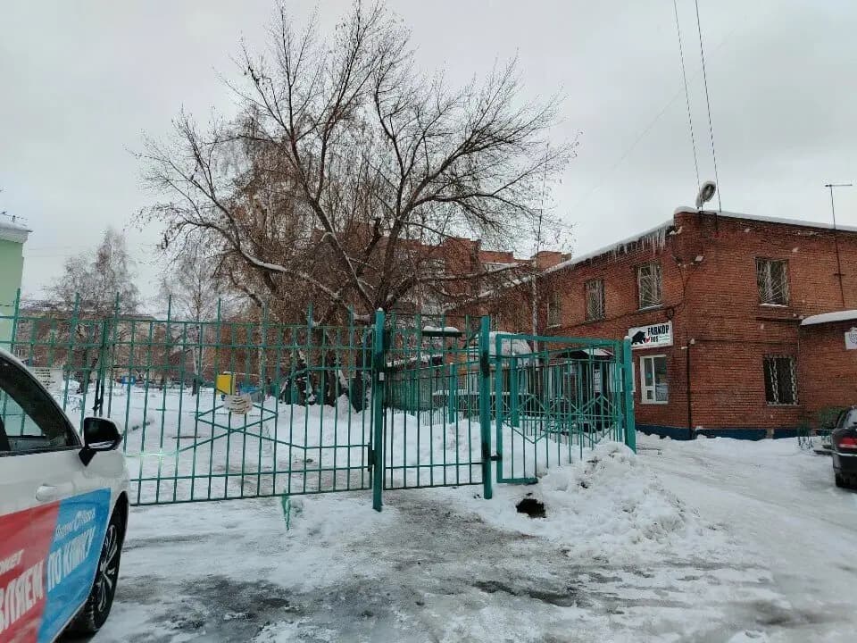 Детский сад № 391 Ёлочка — фото 8
