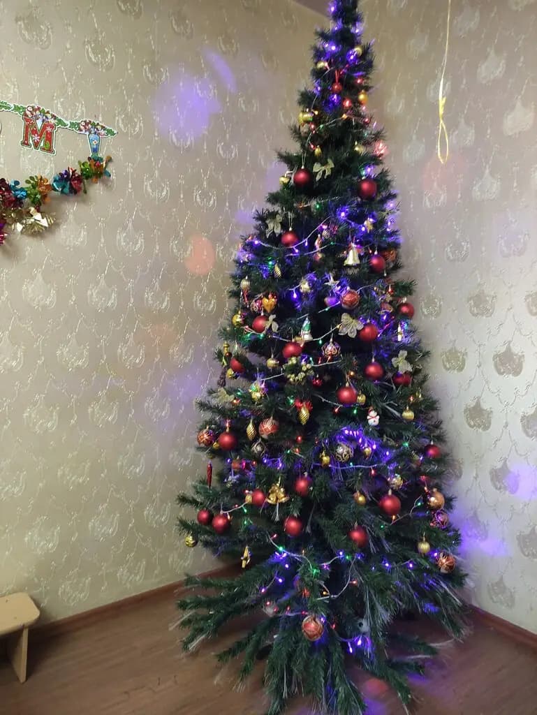 Лесенка Успеха — фото 3