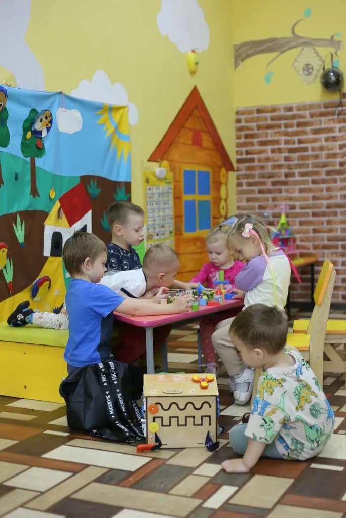 Новая жизнь
