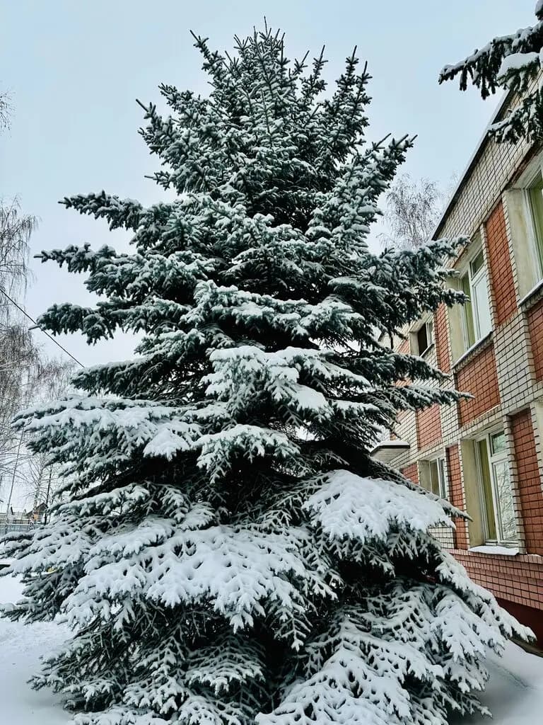 Детский сад № 388 Аленький цветочек — фото 7