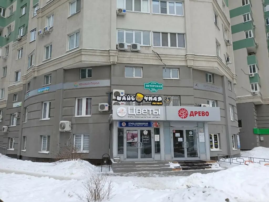 Смышлёный мышонок