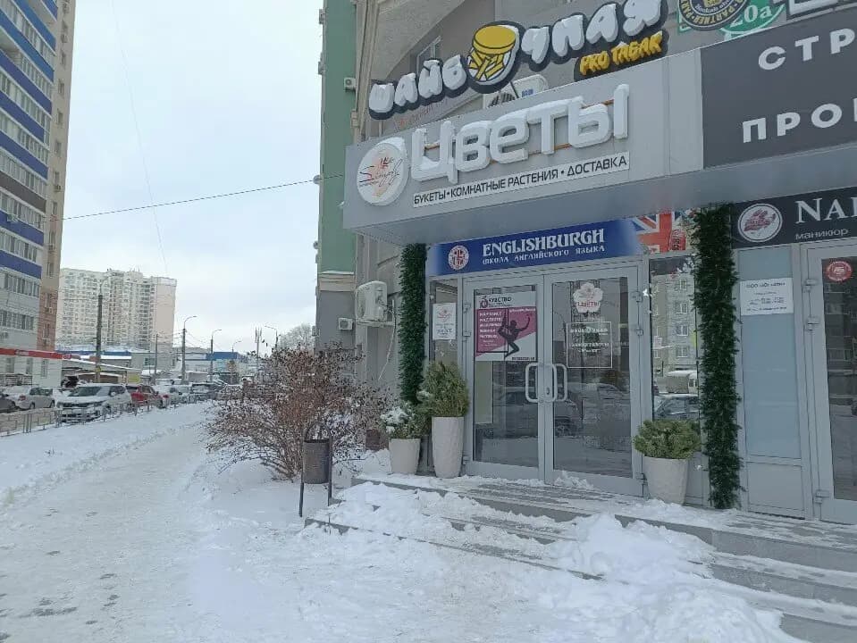 Смышлёный мышонок — фото 7