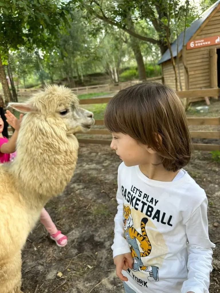 Созвездие детства — фото 3
