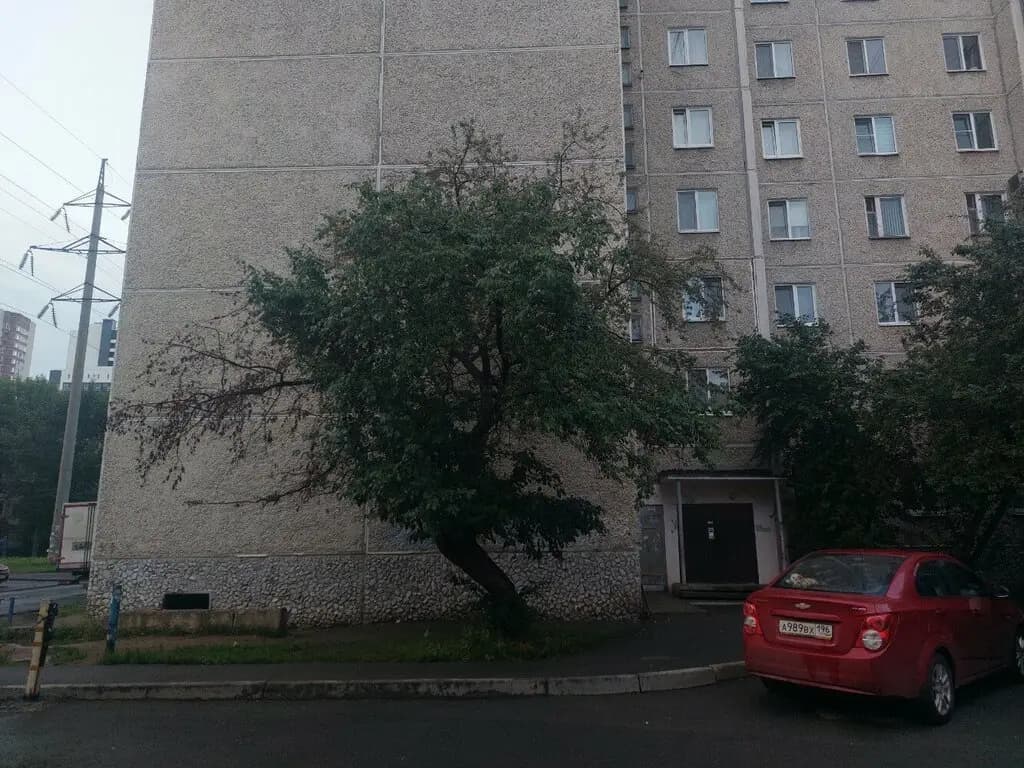 Полинка — фото 9
