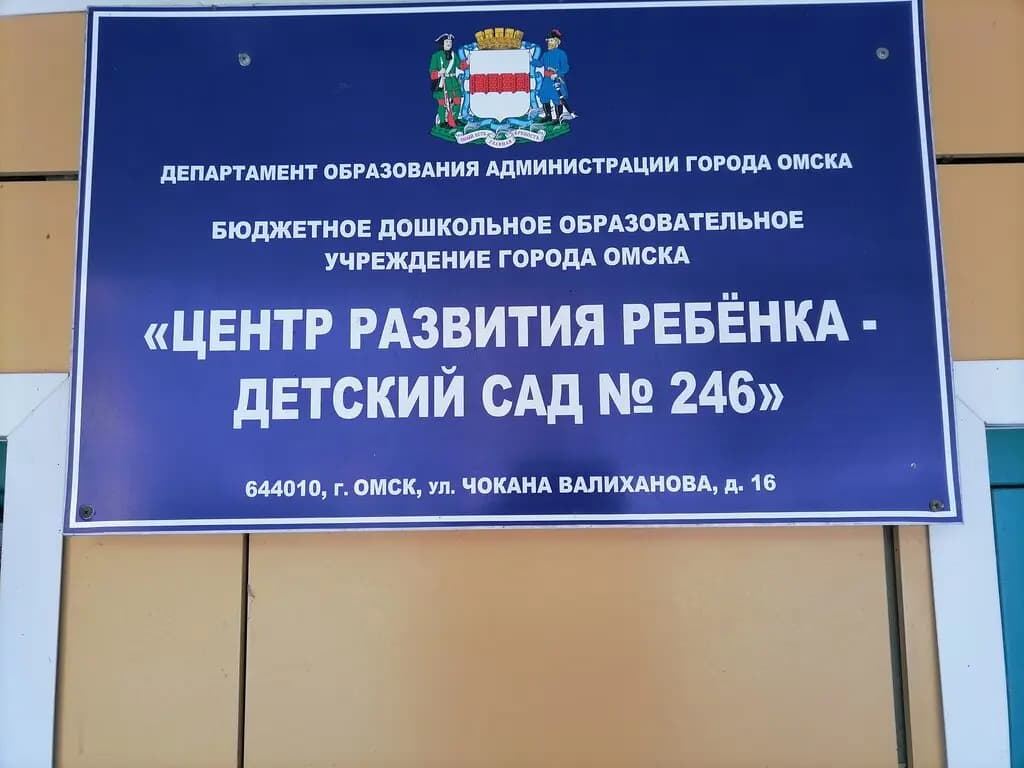 Центр развития ребенка-детский сад № 246 — фото 6