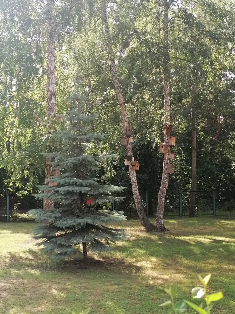 Центр развития ребёнка-детский сад № 145 — фото 10