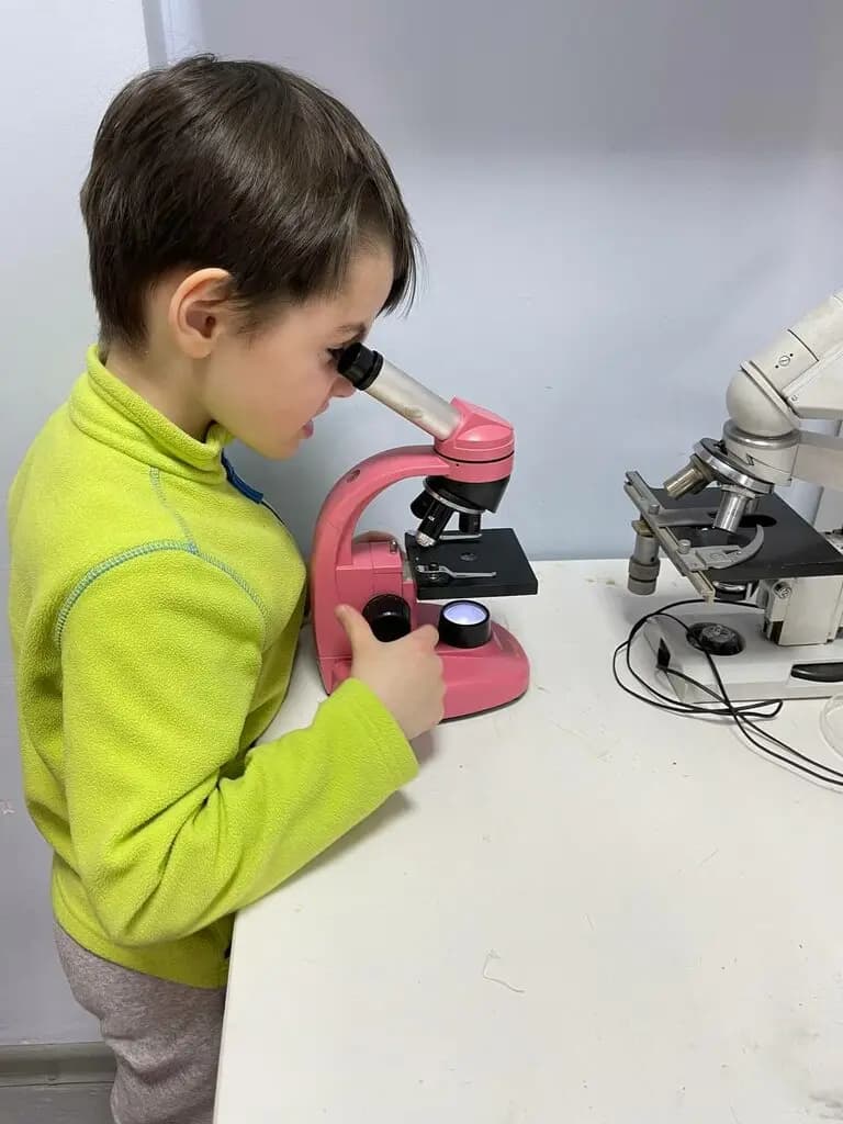 Наша школа — фото 7