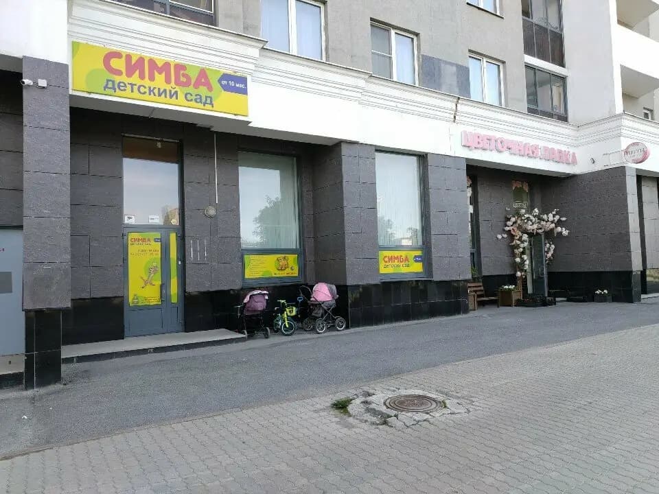 Симба — фото 1