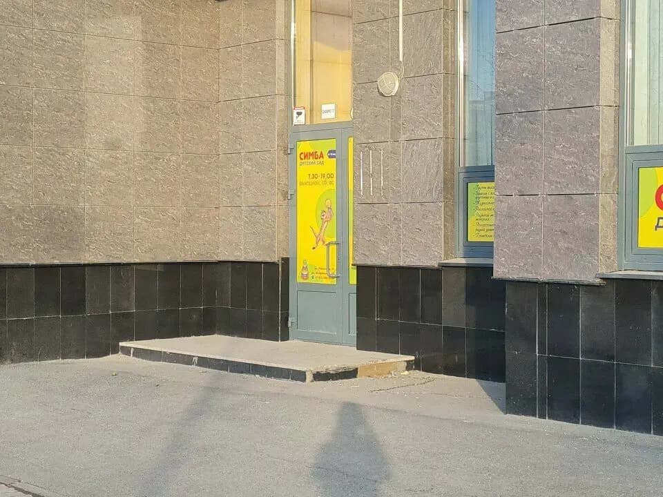 Симба — фото 2
