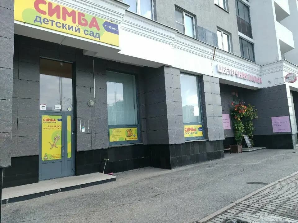 Симба — фото 5