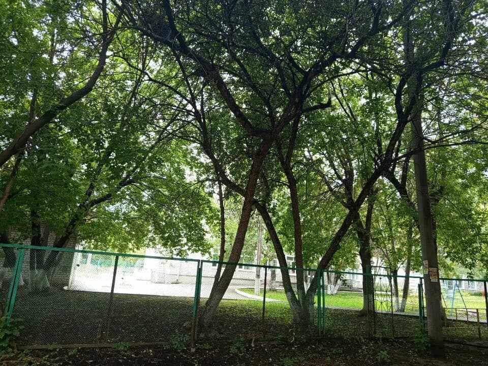 Центр развития ребёнка-детский сад № 371, корпус № 3 — фото 5