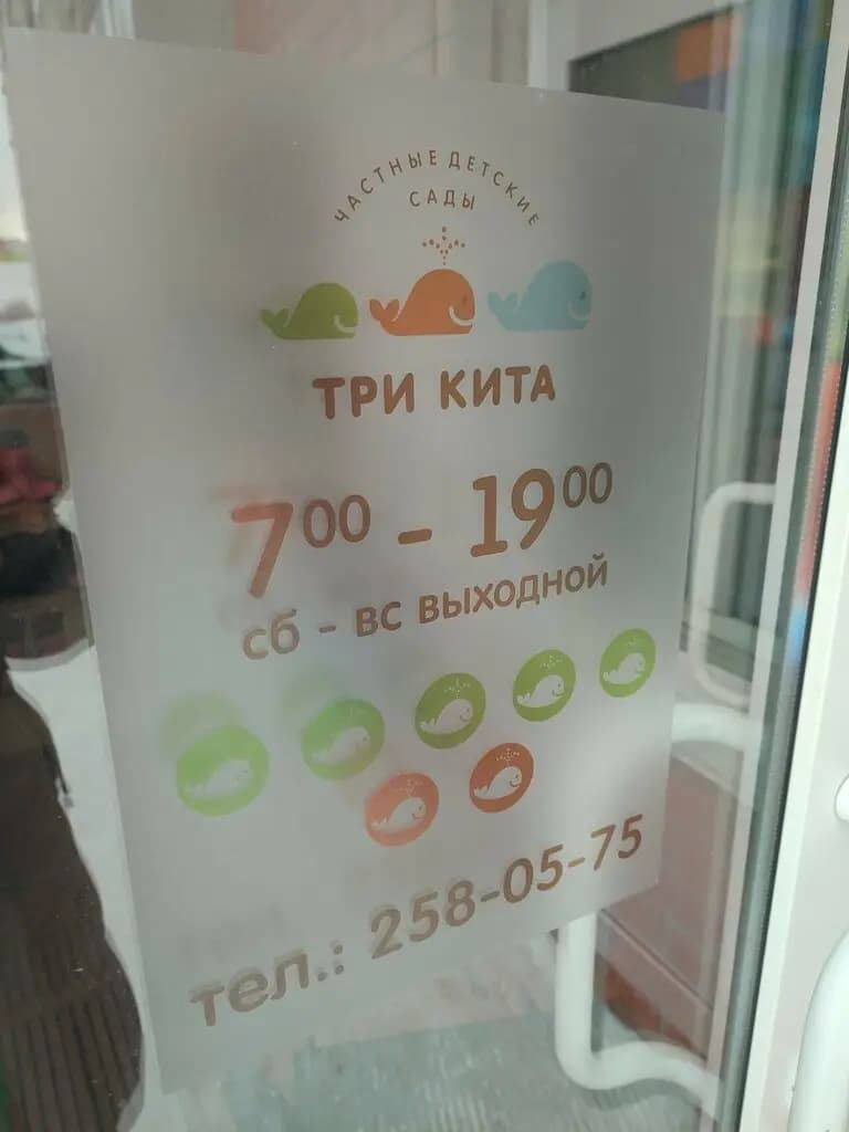 Три Кита — фото 3