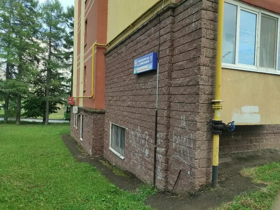 Берёзка — фото 10