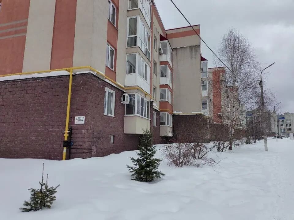 Берёзка — фото 7