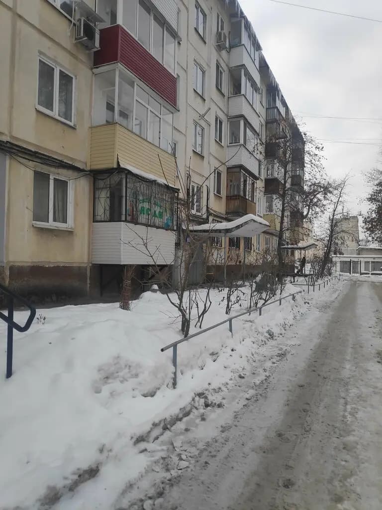 Берёзка — фото 10