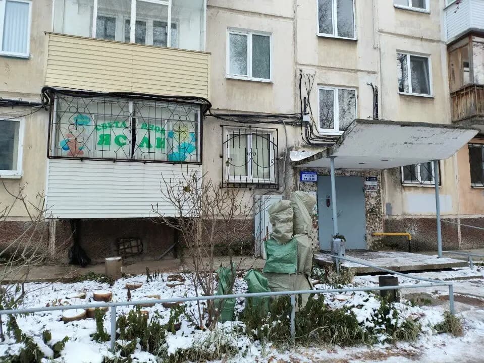 Берёзка — фото 2