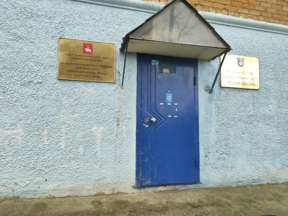 Лесная сказка — фото 5