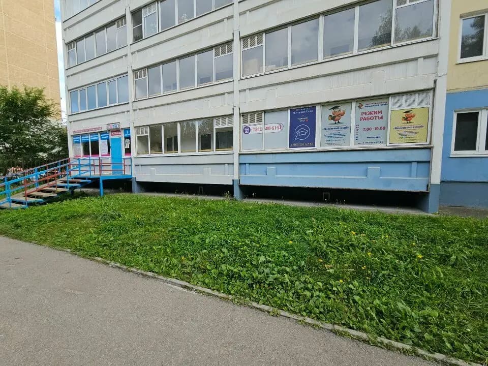Маленький гений