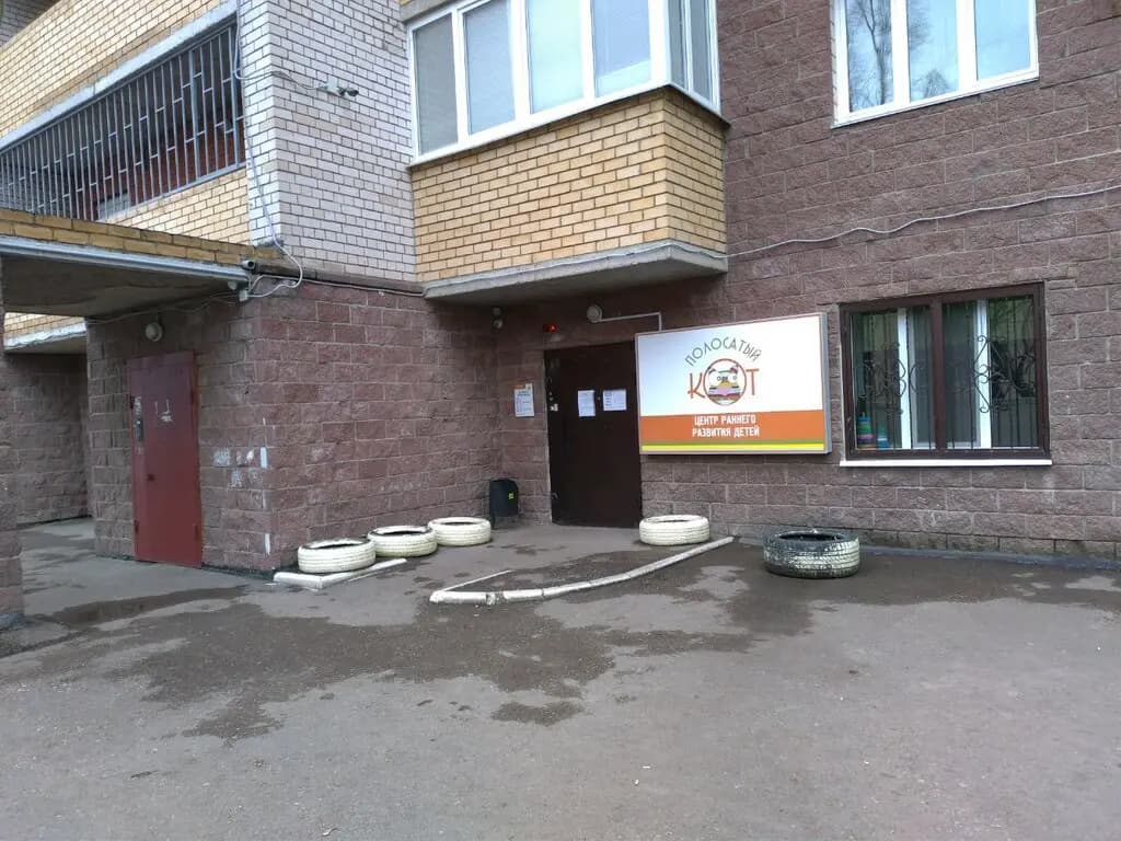 Полосатый кот — фото 10