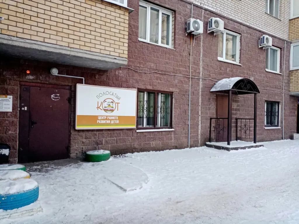 Полосатый кот — фото 4