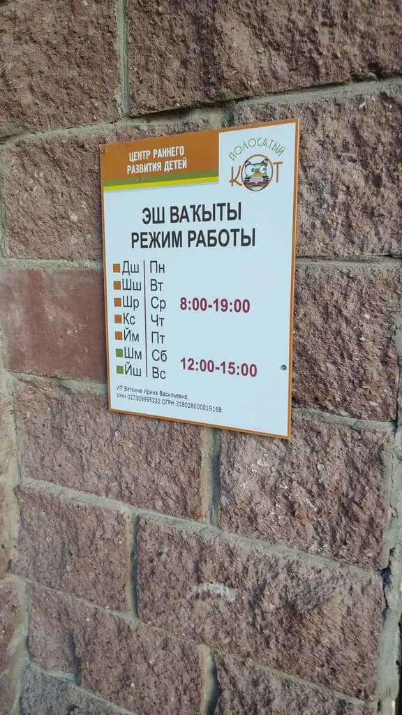 Полосатый кот — фото 5