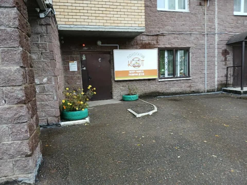 Полосатый кот — фото 7