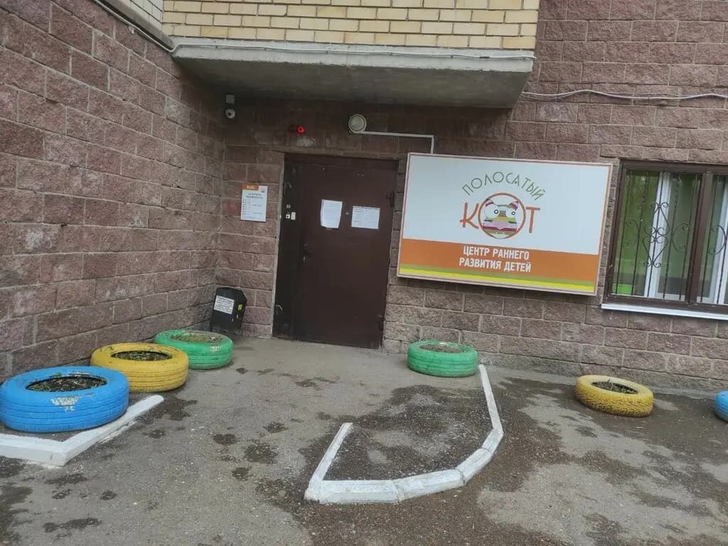 Полосатый кот — фото 9