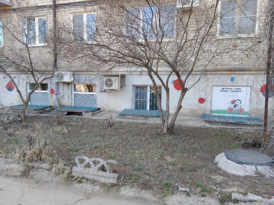 Божья коровка — фото 2