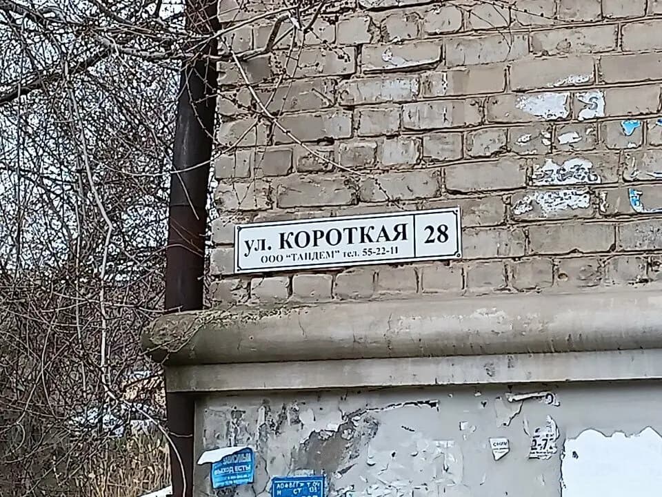 Божья коровка — фото 4