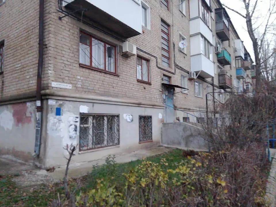 Божья коровка — фото 6