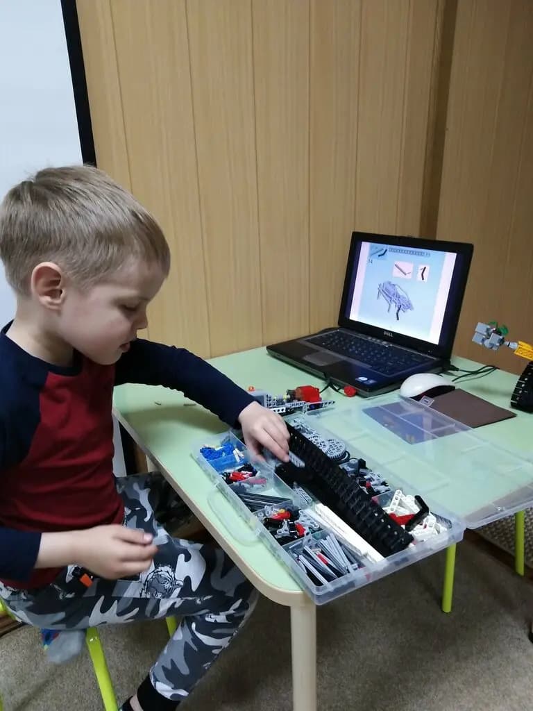 Божья коровка — фото 9