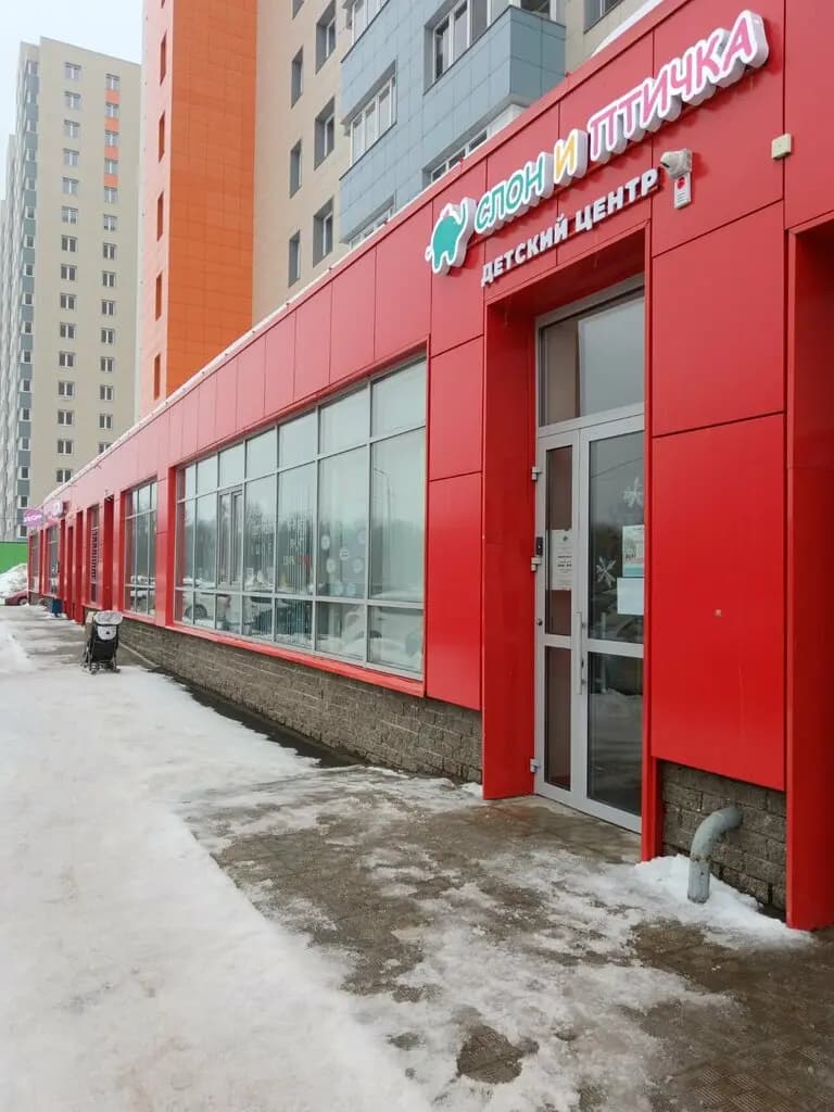 Слон и птичка — фото 10