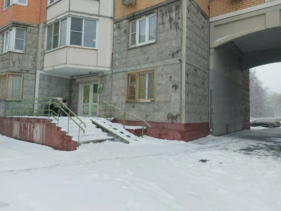 Салатовый слон — фото 2