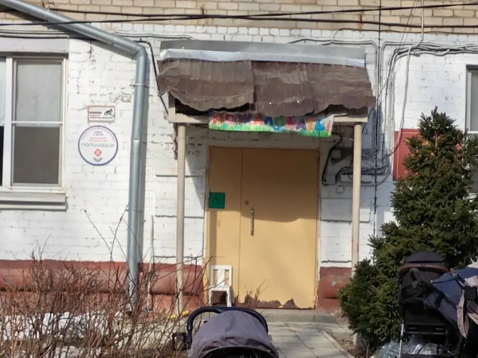 Палисадик Берёзка — фото 4