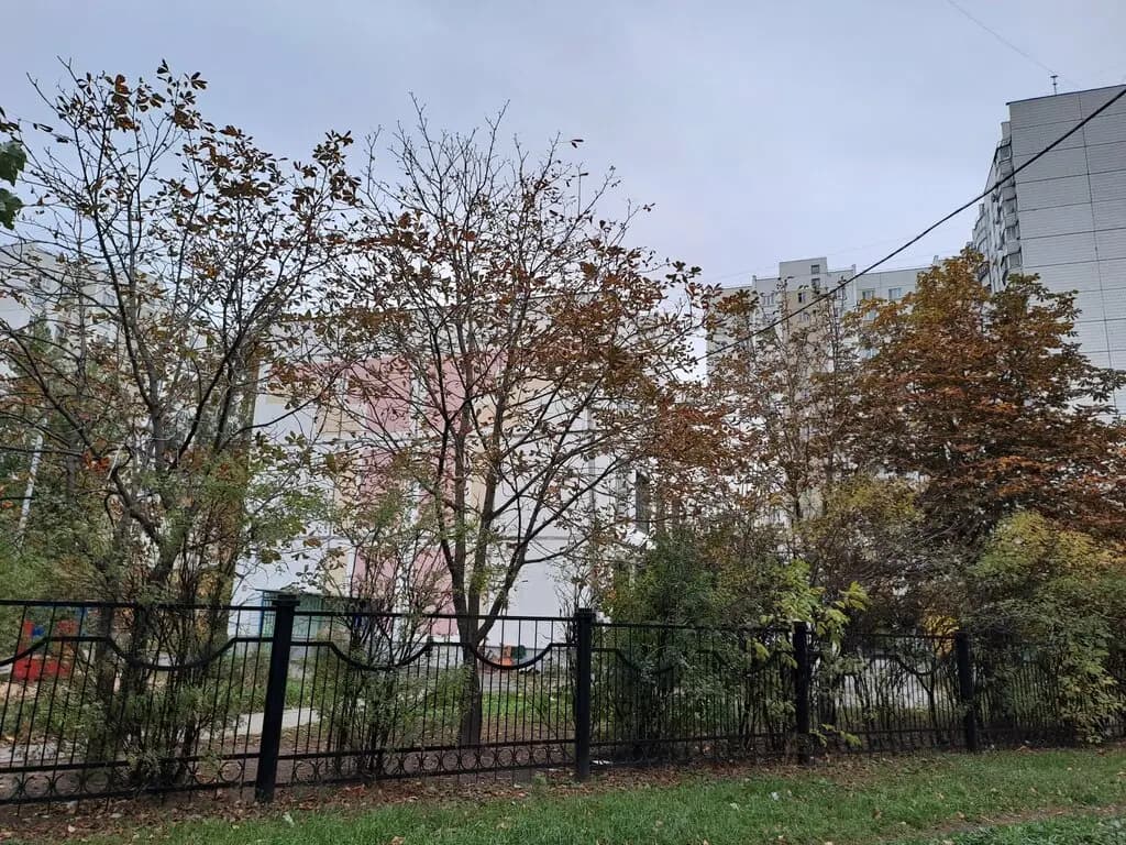 Школа имени Артёма Боровика, подразделение Алёнушка — фото 8