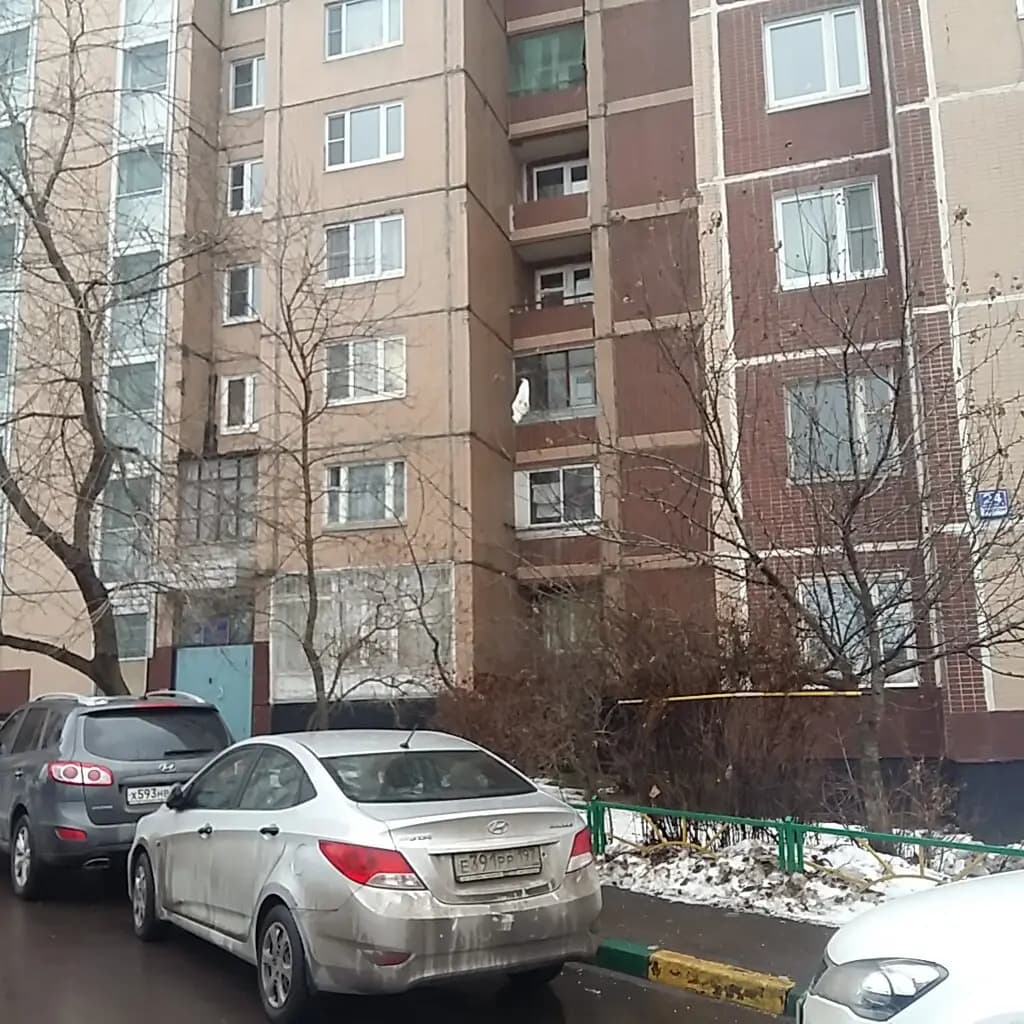 ОКЦ ВАО, Территориальное управление Новокосино — фото 4