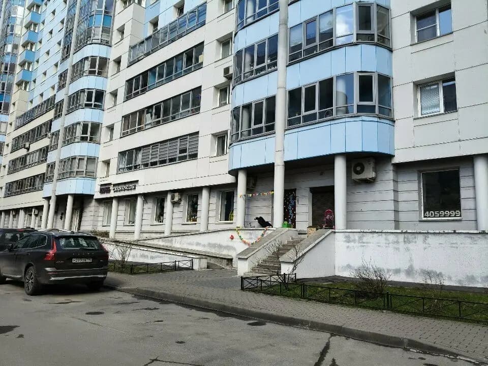 Гусёна — фото 9