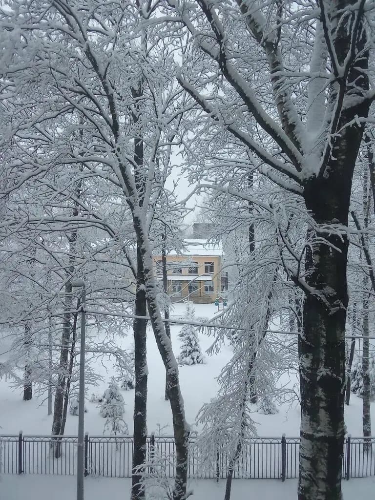 Средняя общеобразовательная школа № 15 дошкольное отделение — фото 3
