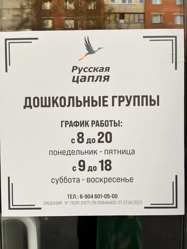 Русская цапля — фото 7