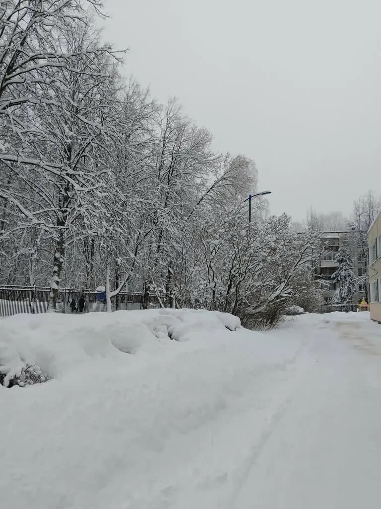 Детский сад № 23 Калининского района Санкт-Петербурга — фото 8