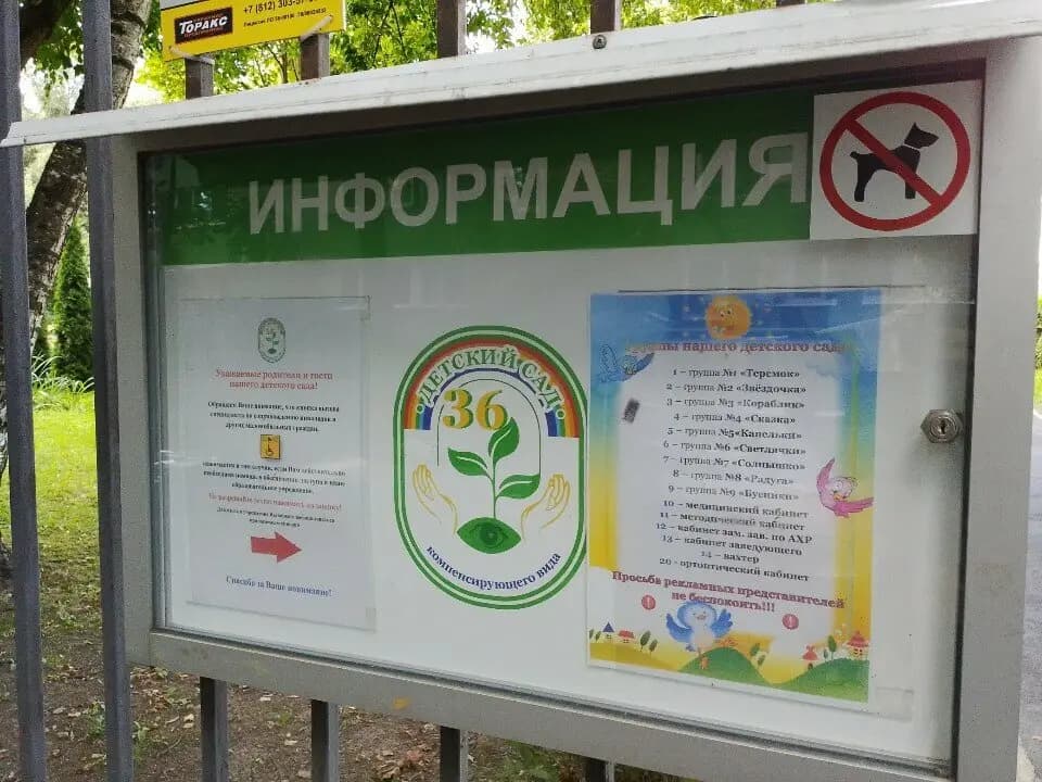 Центр сопровождения детей с нарушением зрения — фото 8